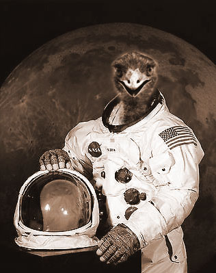 EMU Astronaut